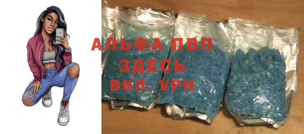 a pvp Алзамай